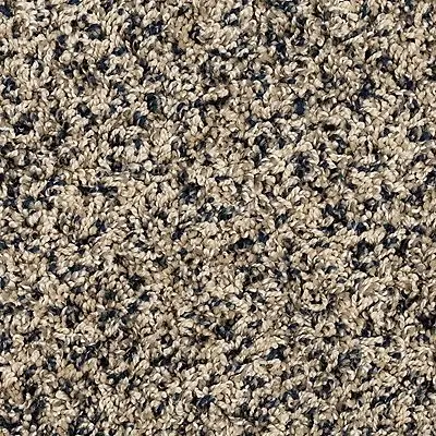 PetPremier Purrsonality III